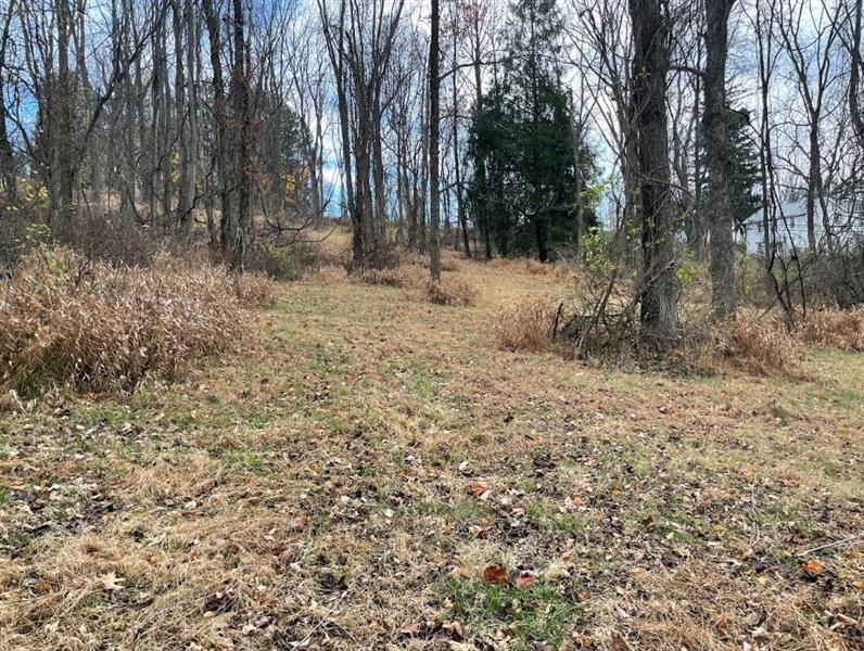 0 Hilton/margurite Road Greensburg, PA 15601 - Photo 1 of 8 a view of a forest with trees