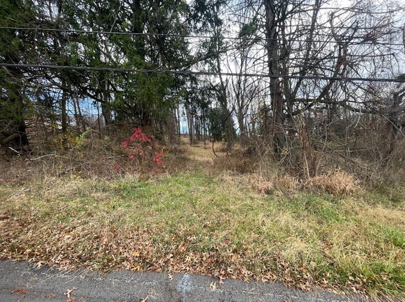 0 Hilton/margurite Road Greensburg, PA 15601 - Photo 7 of 8 a view of a forest with trees in the background