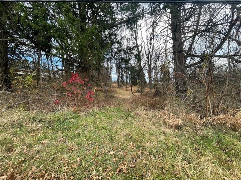 0 Hilton/margurite Road Greensburg, PA 15601 - Photo 8 of 8 a view of a yard with large trees