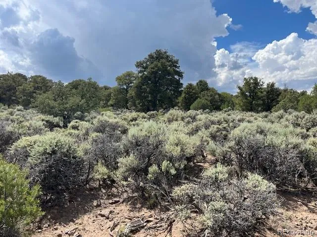 a view of a covered with trees in the background