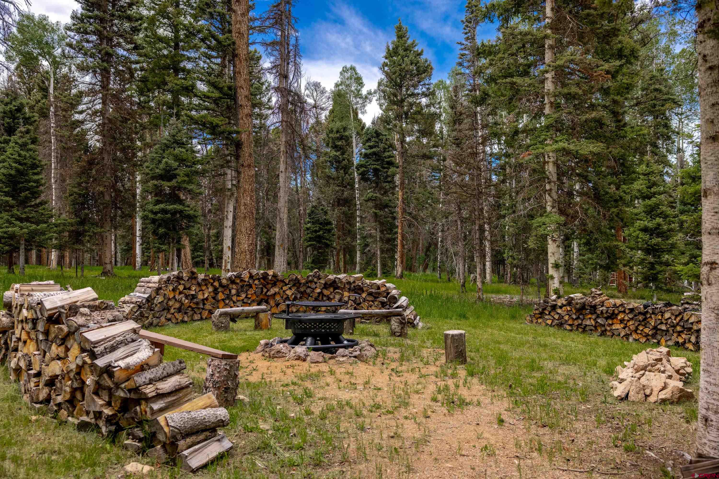 601 Balsam Road Cimarron, CO 81220 - Photo 14 of 43
