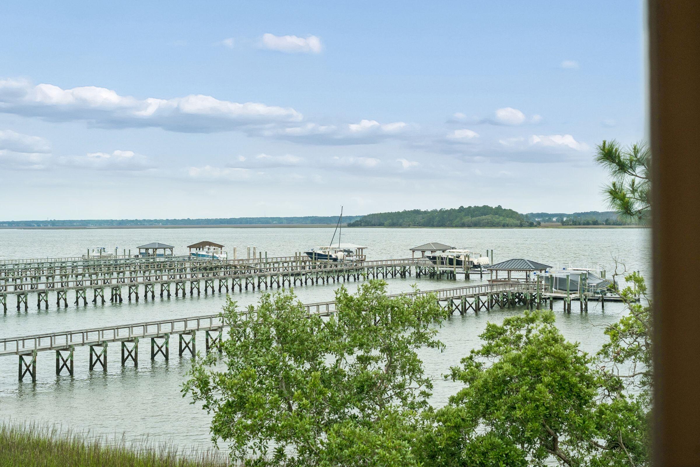 401 Wayfaring Point Daniel Island, SC 29492 - Photo 95 of 155