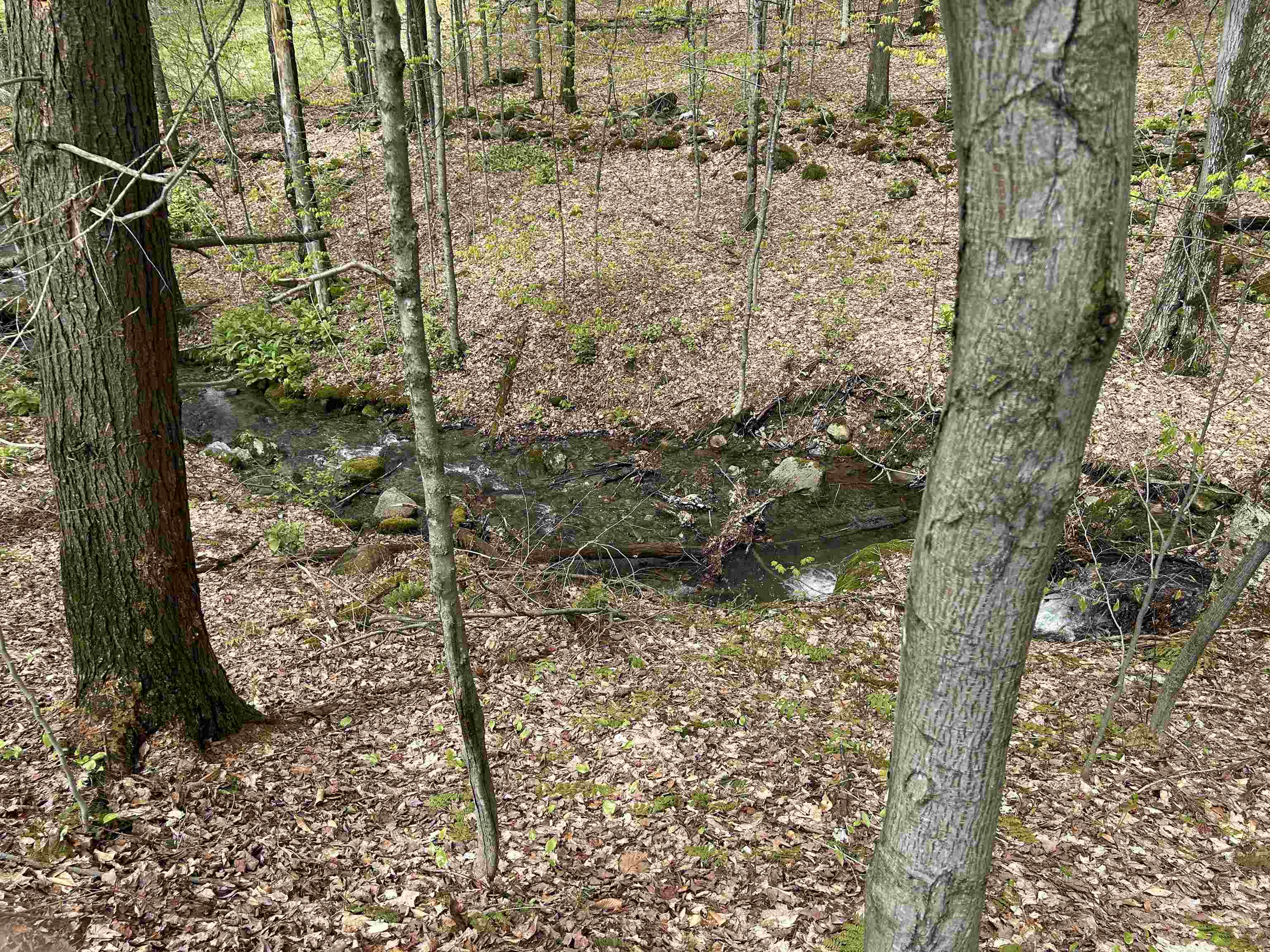 2767 Woodward Neighborhood Road Richford, VT 05476 - Photo 48 of 55