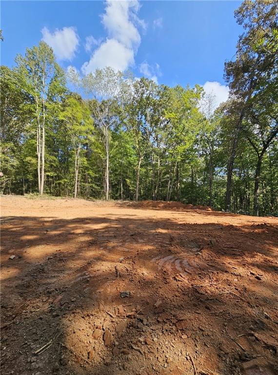 7619 Yukon Road Talking Rock, GA 30175 - Photo 8 of 32 Gallery Image 8