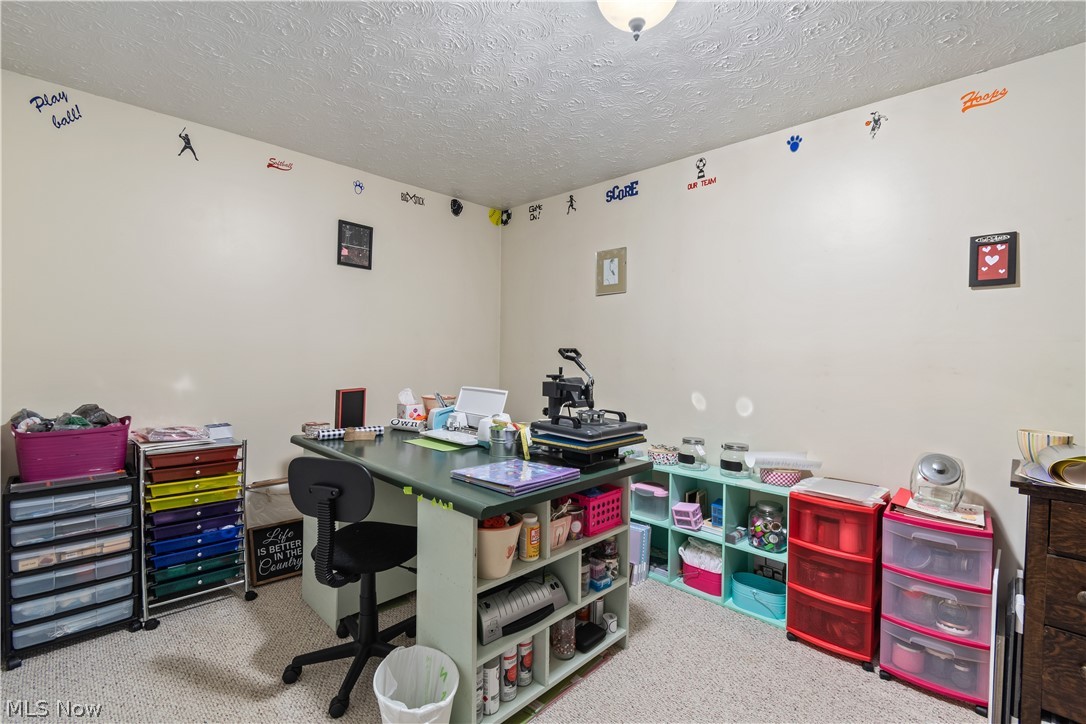 6446 Rice Hill Road Burbank, OH 44214 - Photo 23 of 33