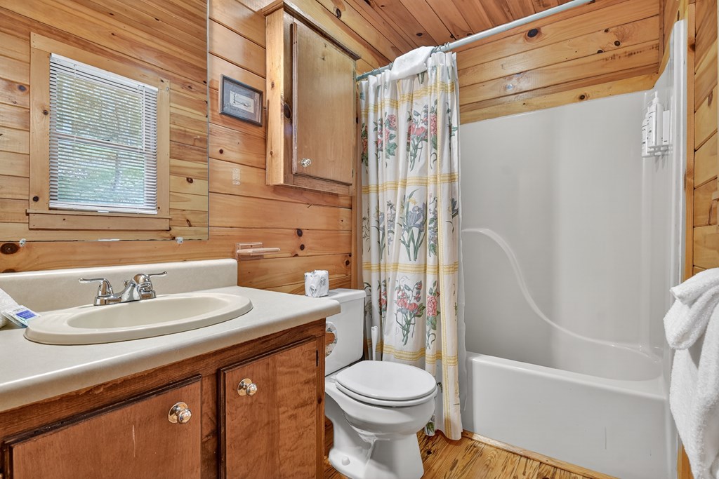 421 Salem Valley Road Mineral Bluff, GA 30559 - Photo 18 of 21 a bathroom with a sink toilet and shower