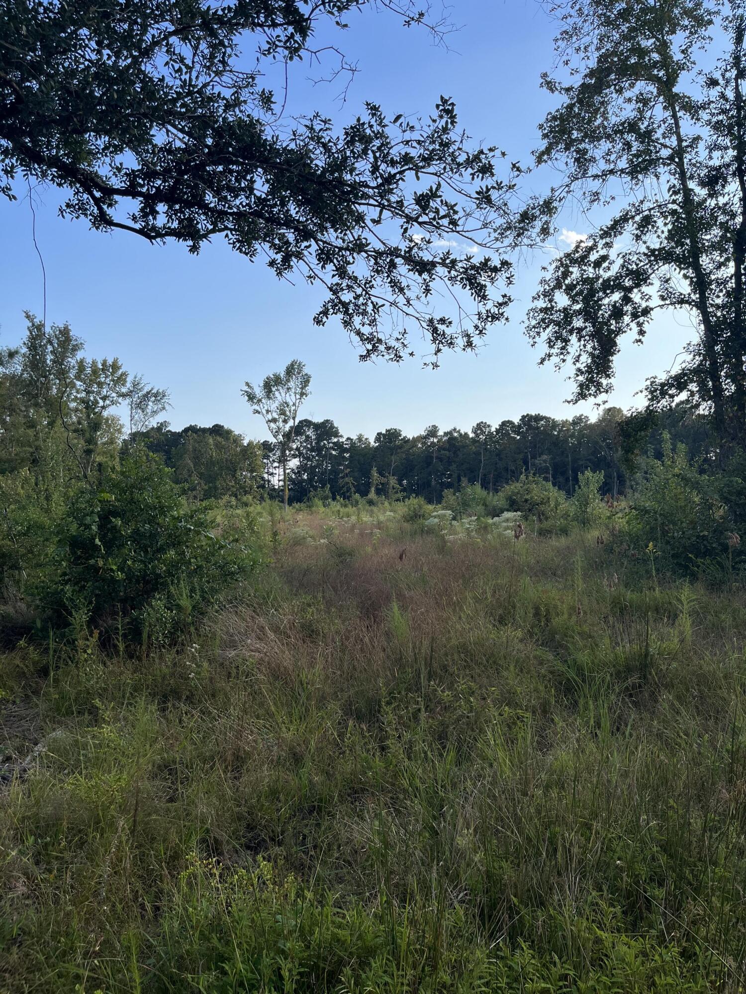 0 Yaremich Road Moncks Corner, SC 29461 - Photo 1 of 6 1_beyc6ab7195ad79ad