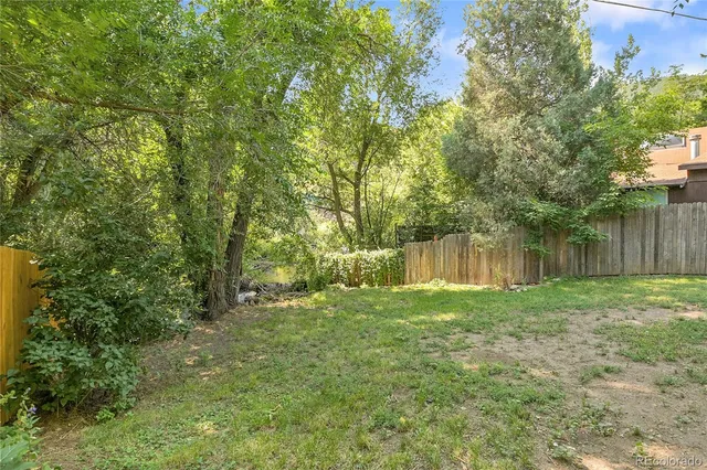 a view of a forest with plants and large trees
