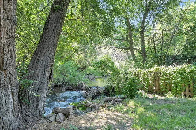 a view of a forest with trees