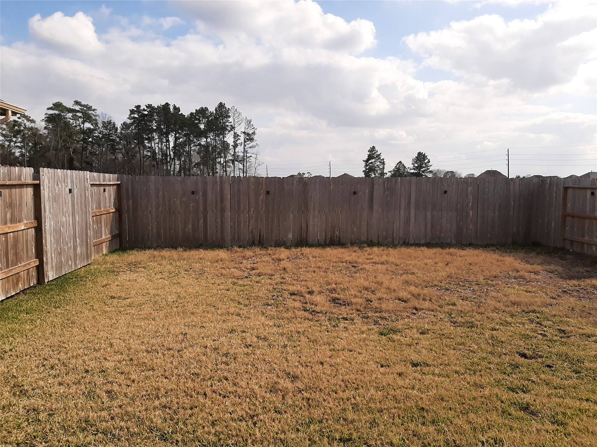 3322 Forest Chitto Dr Spring Spring, TX 77373 - Photo 11 of 18 a view of backyard with pathway