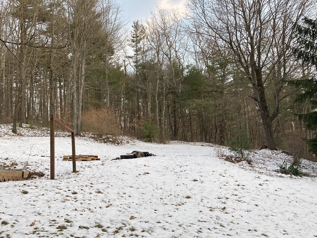 3 Pine Street Gardner, MA 01440 - Photo 31 of 32 a backyard of a house with a large tree