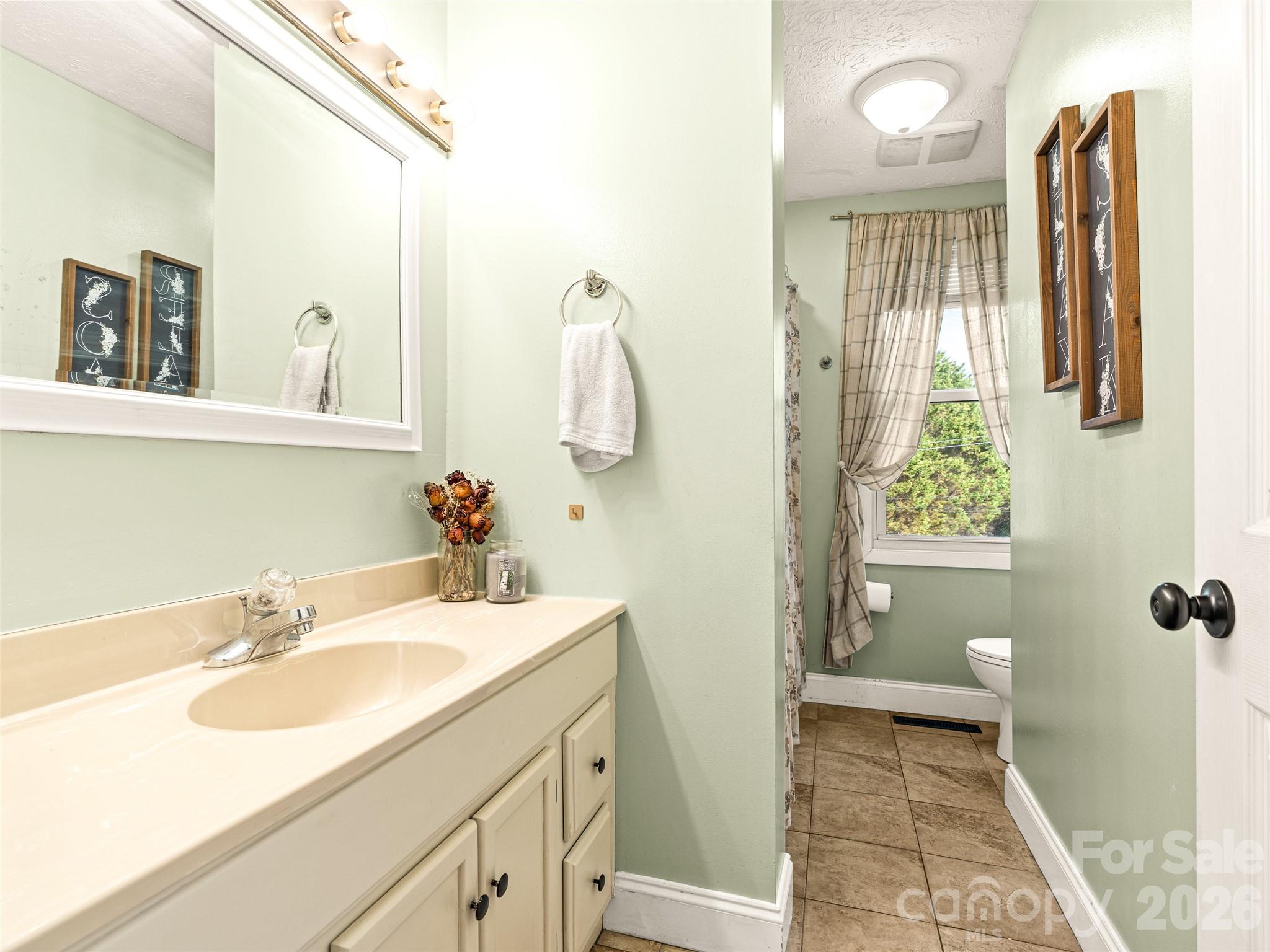 6 Nelson Road Hendersonville, NC 28791 - Photo 12 of 18 a bathroom with a sink and mirror with toilet
