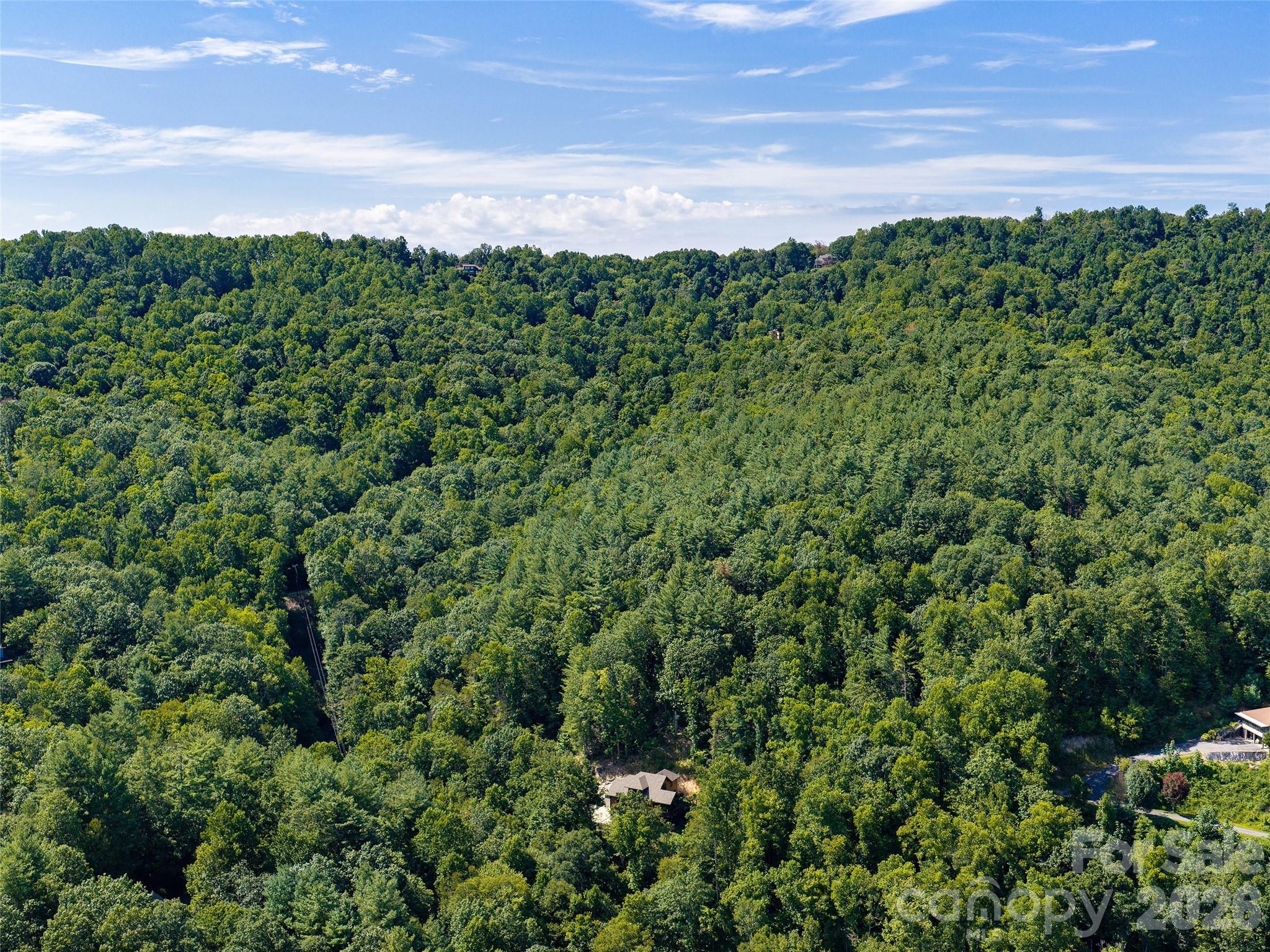 95 Merrills Chase Road Asheville, NC 28803 - Photo 44 of 44 Gallery Image 44