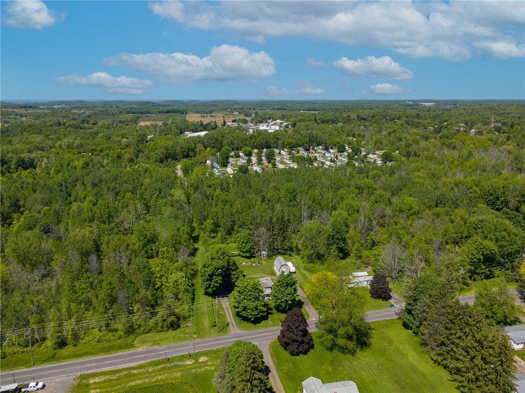 11805 Wilson Road Butler, NY 14590 - Photo 33 of 48 So much country!