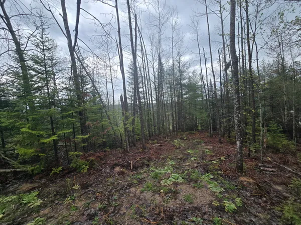 $30,000 | 14453 West Shoreline Drive, Wolverine, MI 49799