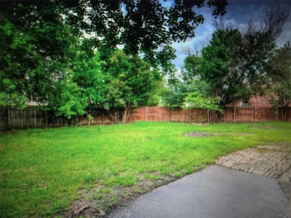 a view of a yard with a tree