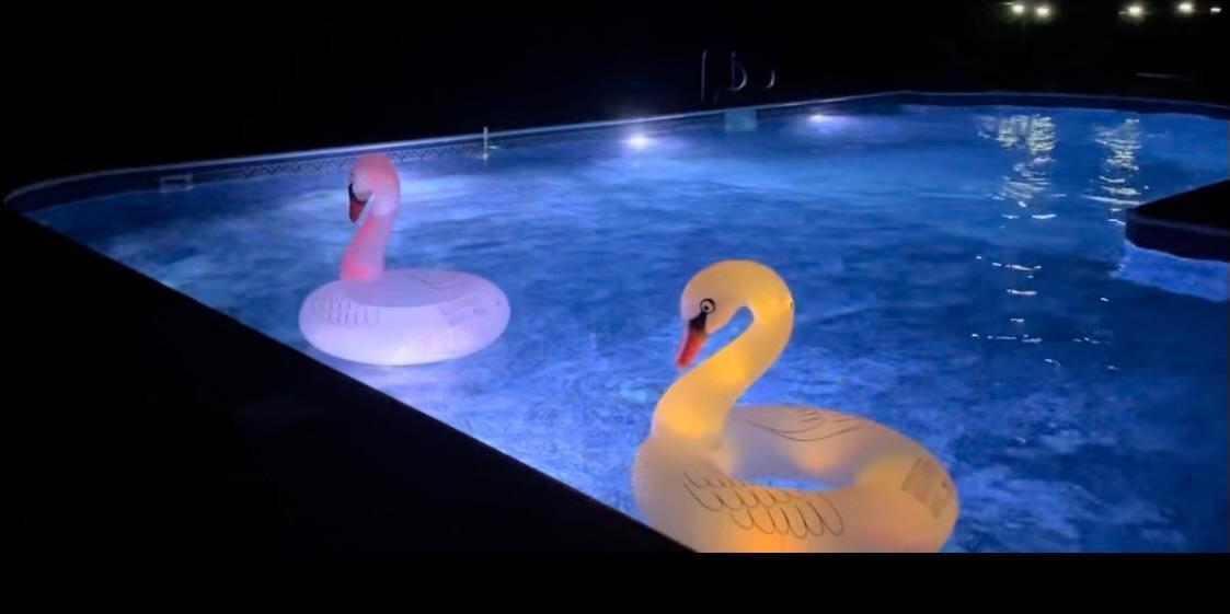 26420 Noble Road Shorewood, MN 55331 - Photo 53 of 59