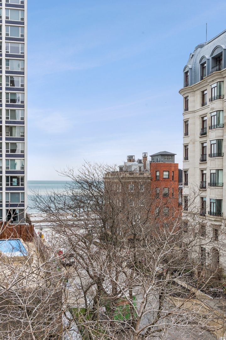1300 North Ritchie Court, Unit 2 Chicago, IL 60610 - Photo 8 of 25 a city view with tall buildings