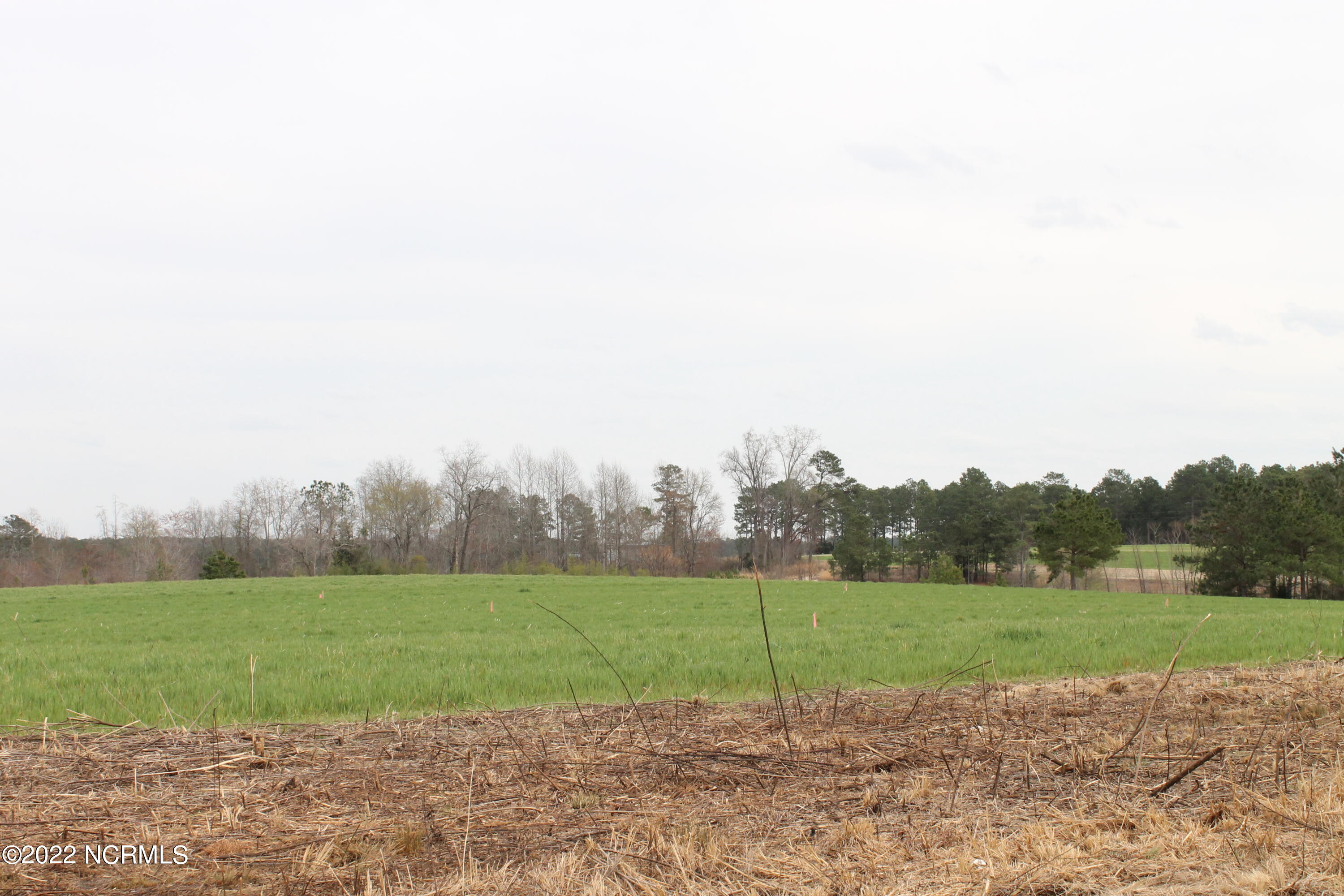 Lot 4 Bibey Road Carthage, NC 28327 - Photo 1 of 2 IMG_3837