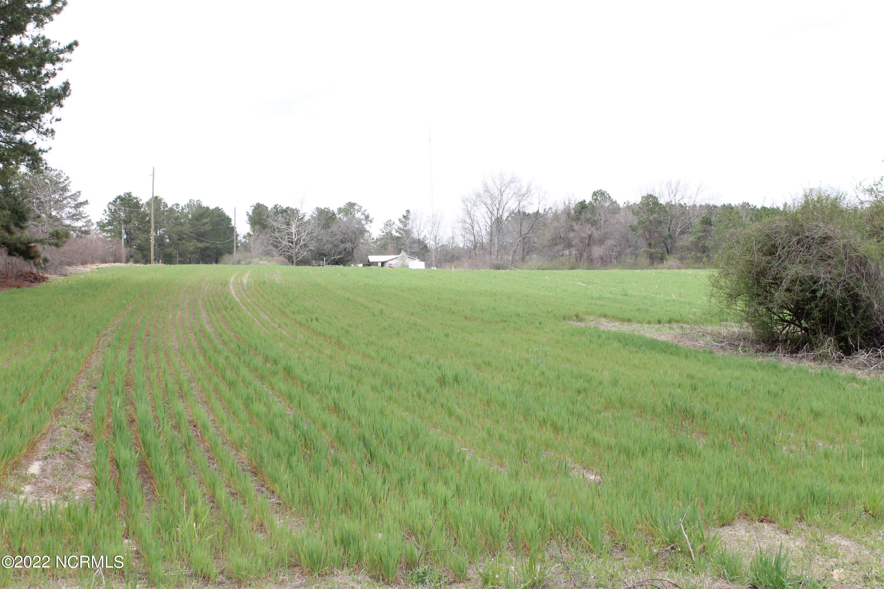 Lot 4 Bibey Road Carthage, NC 28327 - Photo 2 of 2 IMG_3831