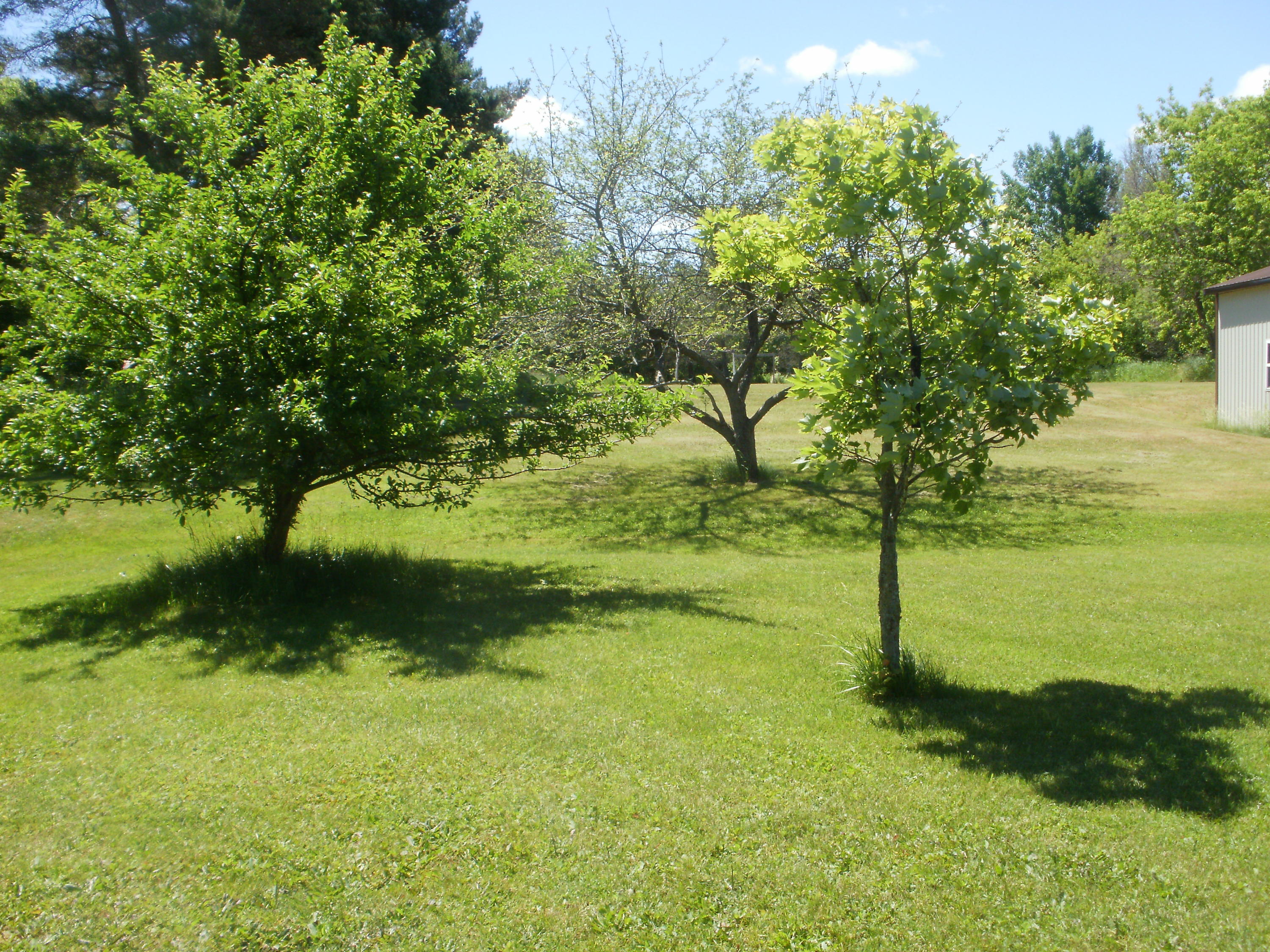 1795 East Levering Road Cheboygan, MI 49721 - Photo 42 of 43 Gallery Image 42