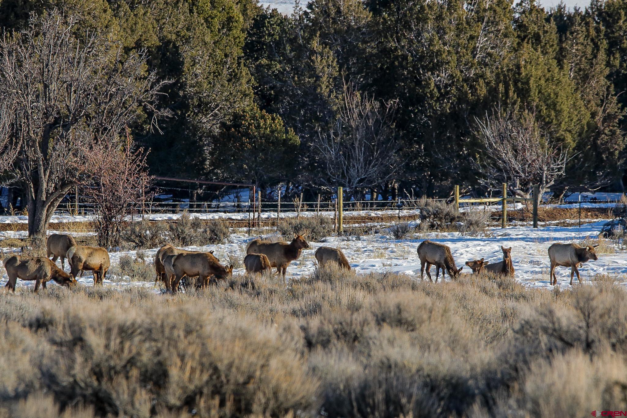 75707 B76 Road Crawford, CO 81415 - Photo 44 of 45 Gallery Image 44