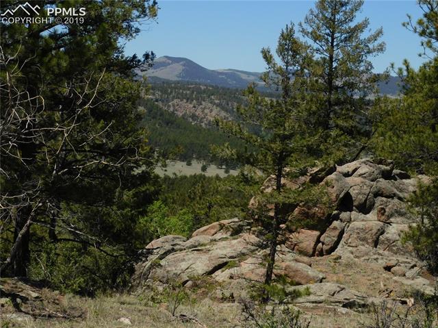 359 Pike View Road Florissant, CO 80816 - Photo 15 of 22