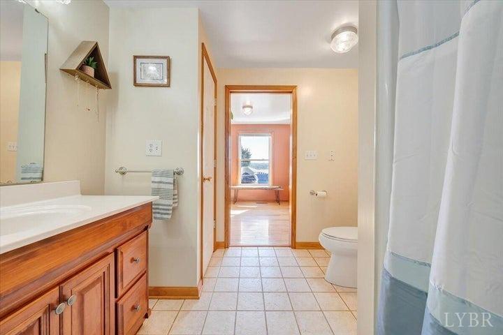 1775 Dickerson Road Goodview, VA 24095 - Photo 8 of 24 a bathroom with a sink a toilet and shower