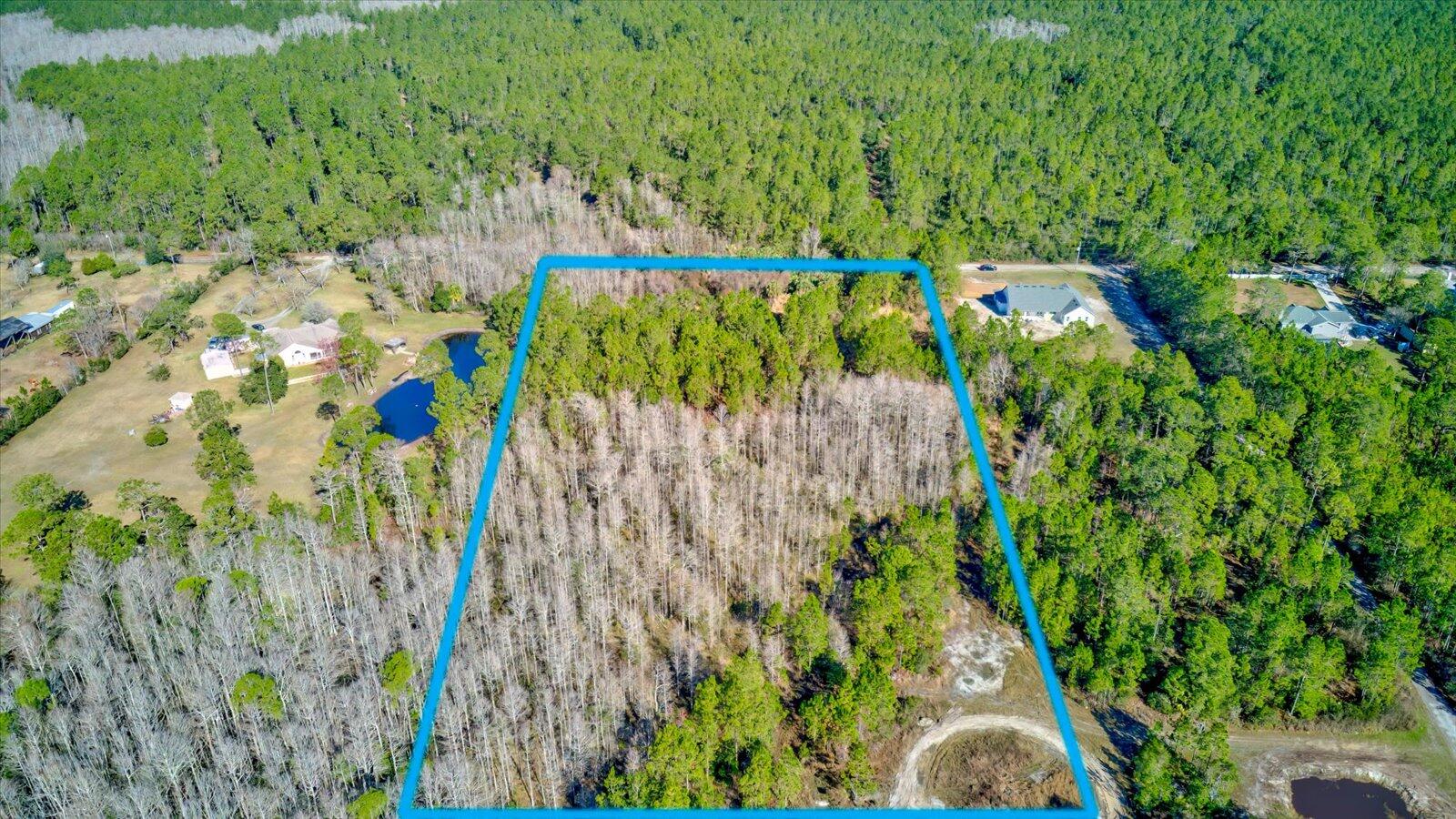 0 Rodeo Acres Drive Ormond Beach, FL 32174 - Photo 17 of 20 a view of a yard with plants
