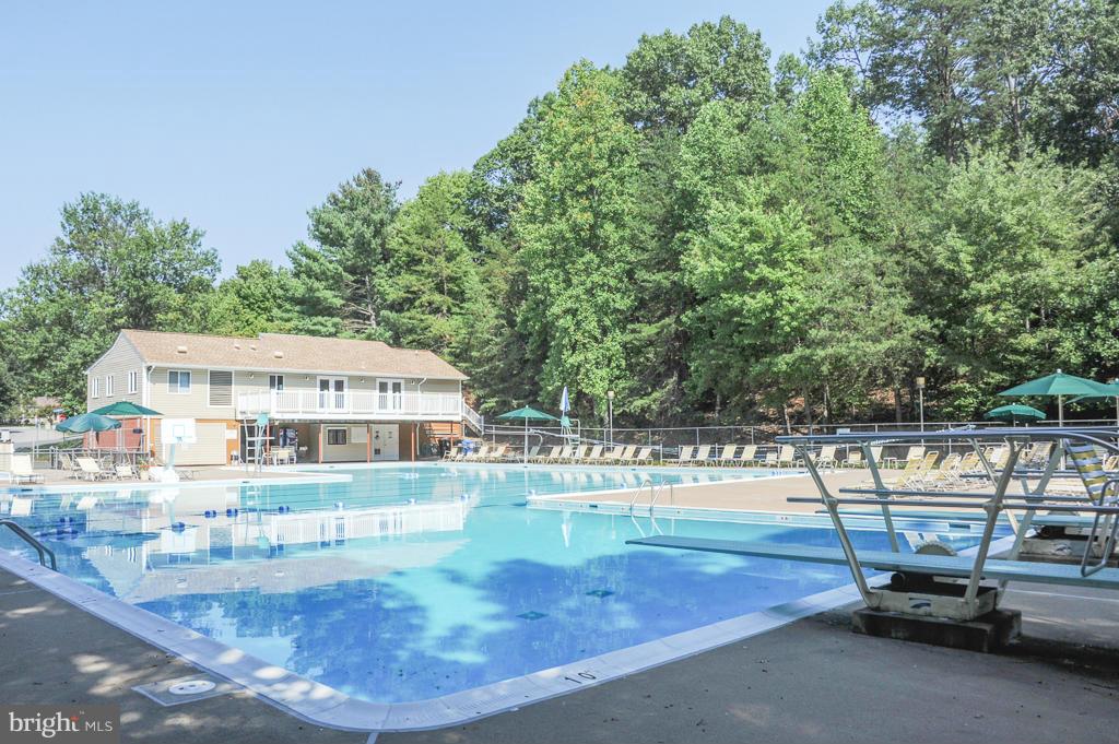 8337 Bark Tree Court Springfield, VA 22153 - Photo 22 of 23 Community Pool