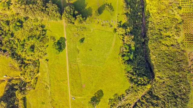 a bathroom with a blue shower