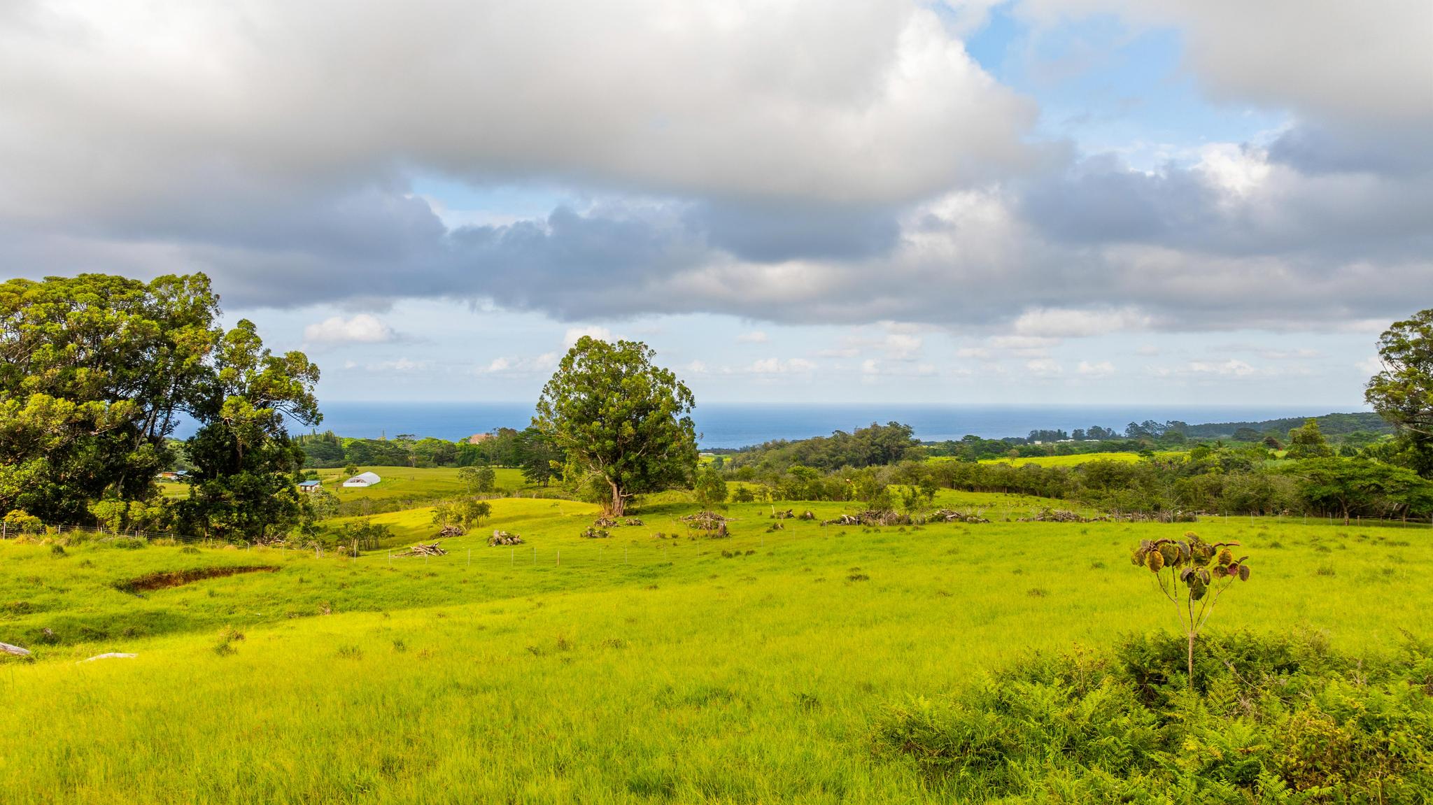 39 C Kaiwiki-Homestead Road Papaikou, HI 96781 - Photo 2 of 10