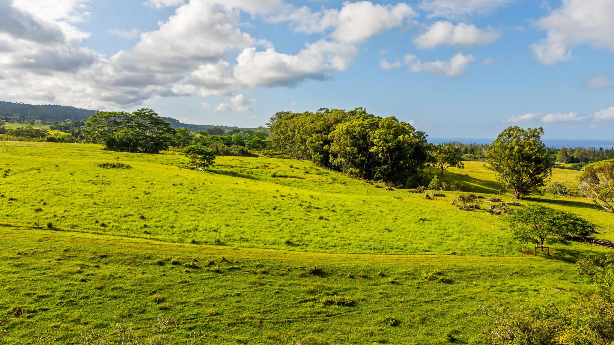 39 C Kaiwiki-Homestead Road Papaikou, HI 96781 - Photo 3 of 10