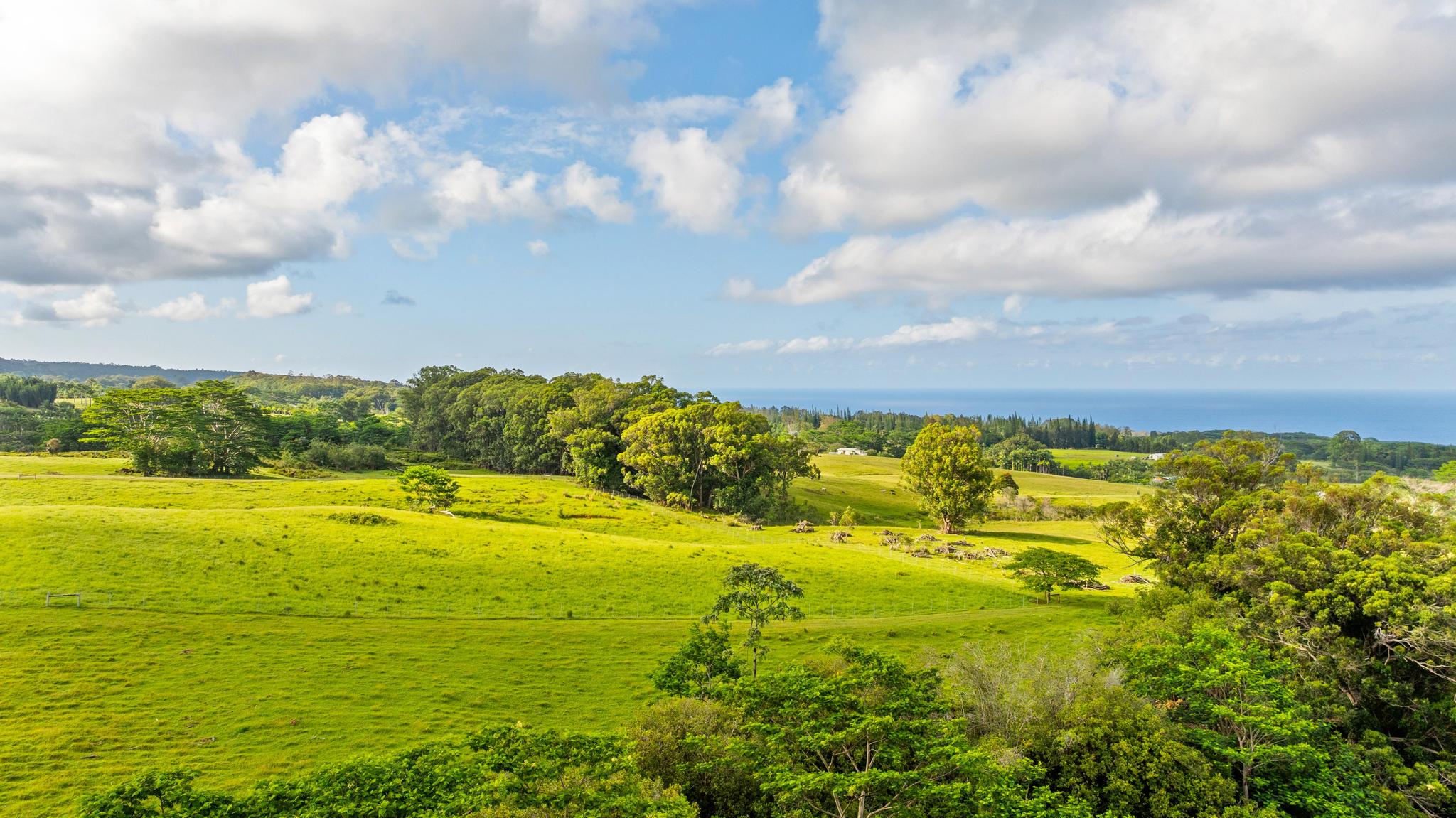 39 C Kaiwiki-Homestead Road Papaikou, HI 96781 - Photo 4 of 10