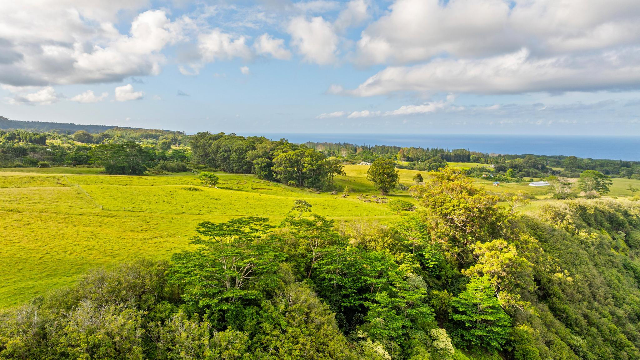 39 C Kaiwiki-Homestead Road Papaikou, HI 96781 - Photo 5 of 10