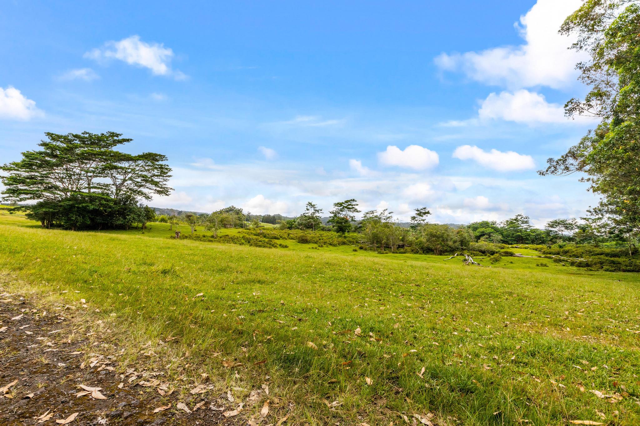 39 C Kaiwiki-Homestead Road Papaikou, HI 96781 - Photo 7 of 10