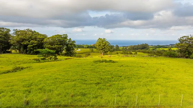 a view of an ocean view
