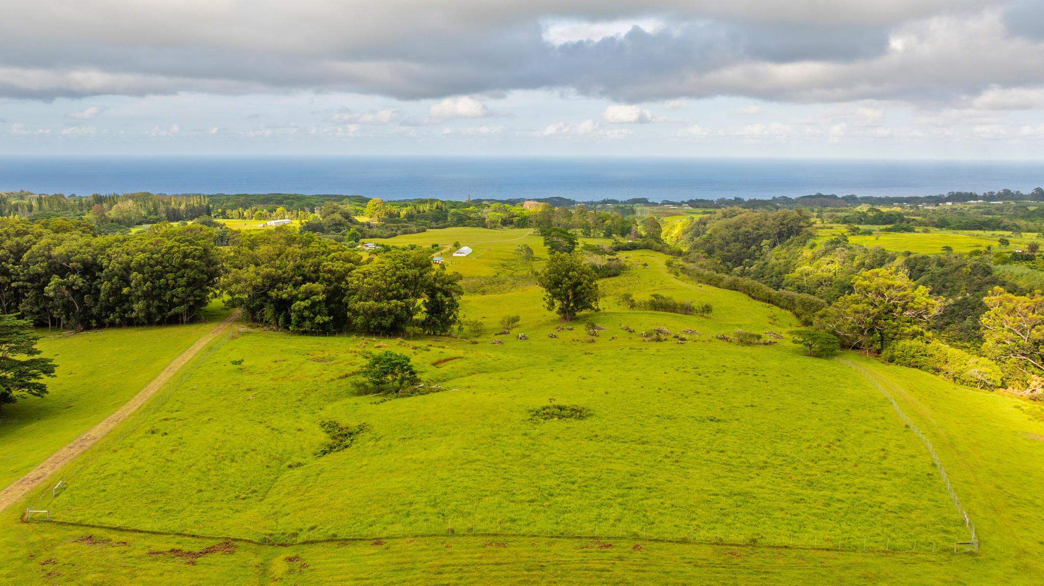 39 C Kaiwiki-Homestead Road Papaikou, HI 96781 - Photo 9 of 10