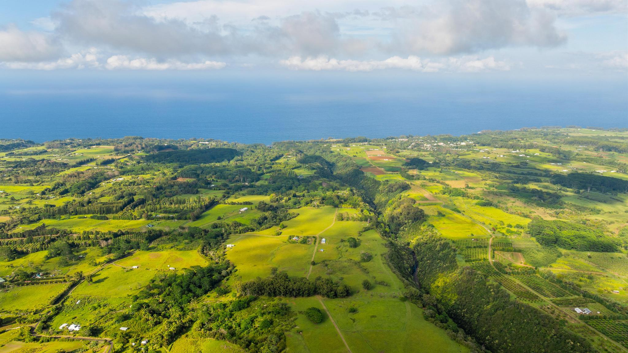 39 C Kaiwiki-Homestead Road Papaikou, HI 96781 - Photo 10 of 10
