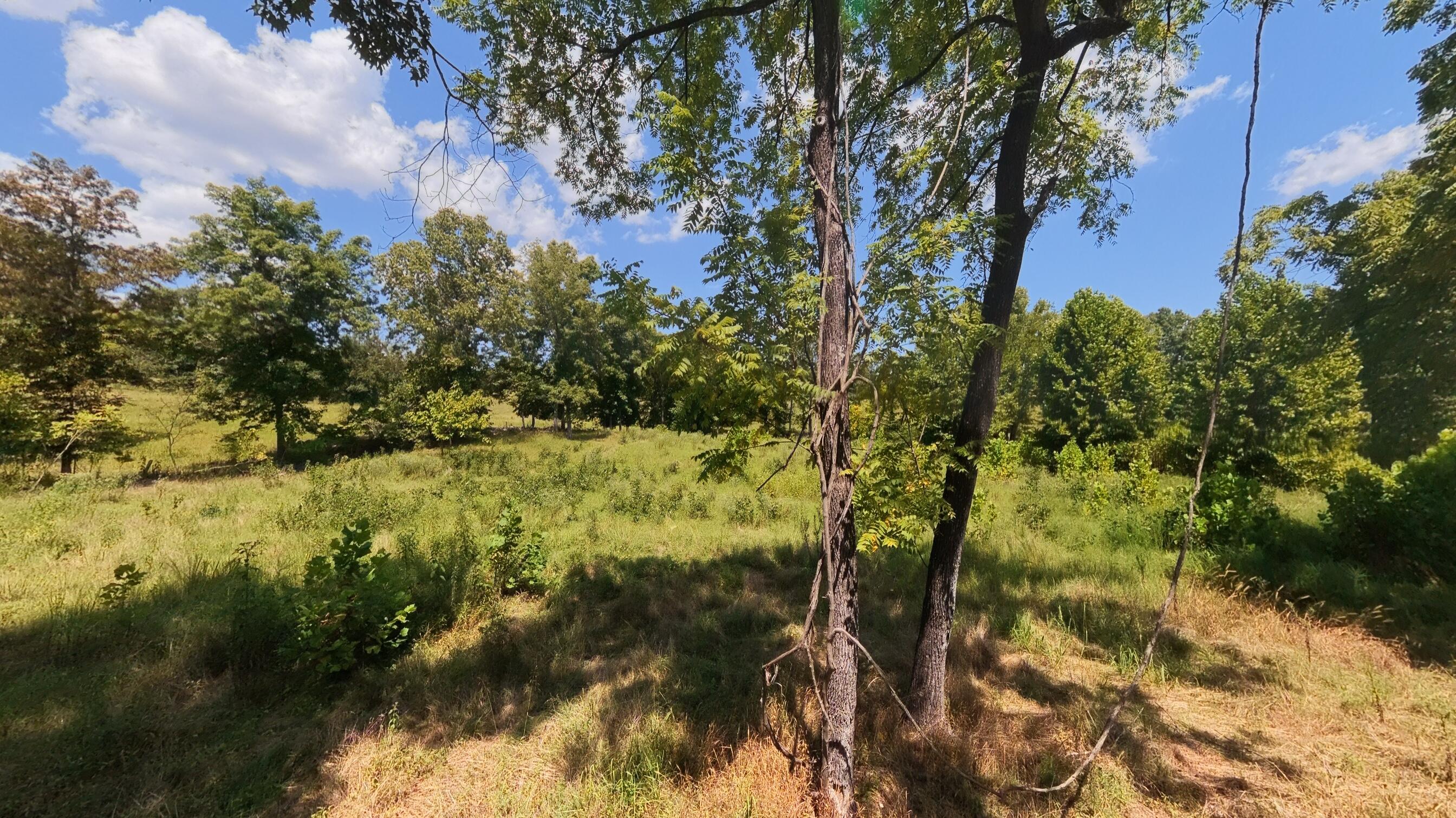 0 Bamber Street Mammoth Spring, AR 72554 - Photo 23 of 39 32+_- Acres021