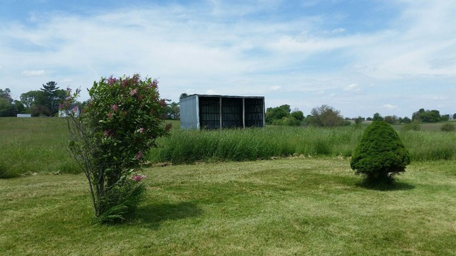 3466 Cyclone Road Earlville, IL 60518 - Photo 8 of 8 a big yard with lots of green space and plants