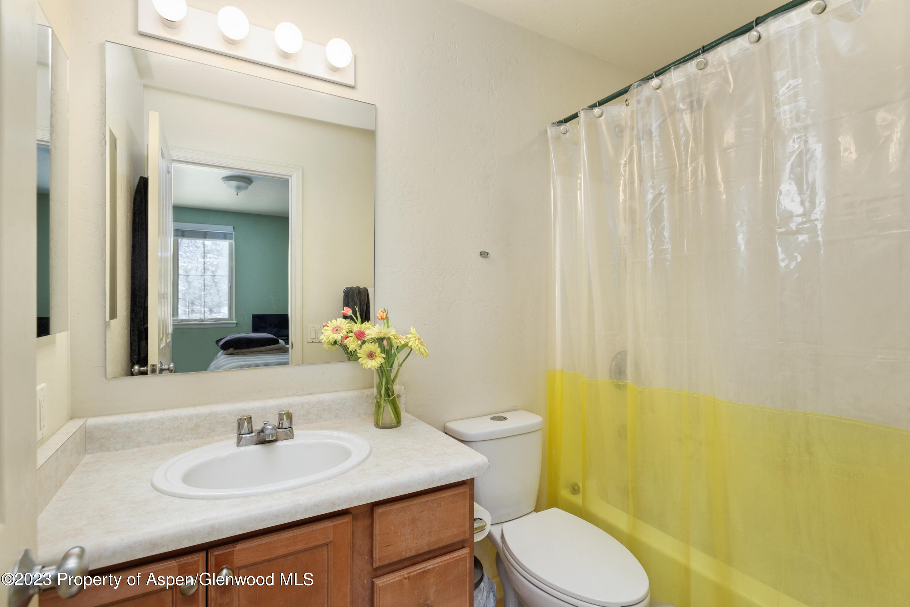 618 Lakeside Drive Basalt, CO 81621 - Photo 7 of 9 Primary Bathroom
