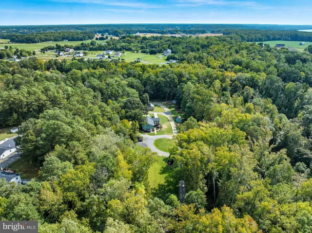a view of a city with lush green forest