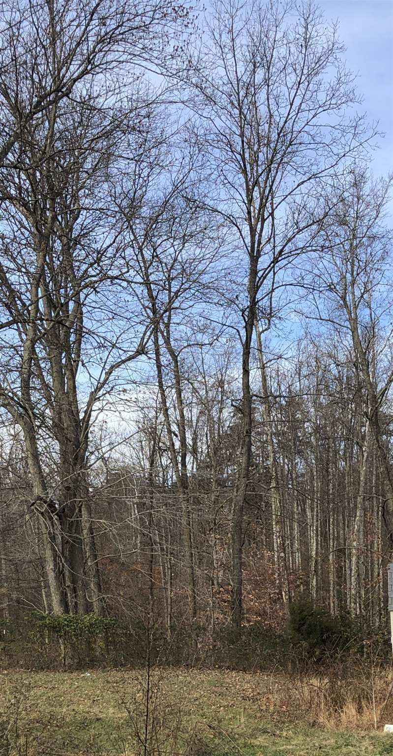 Locust Road Bedford, IN 47421 - Photo 1 of 1