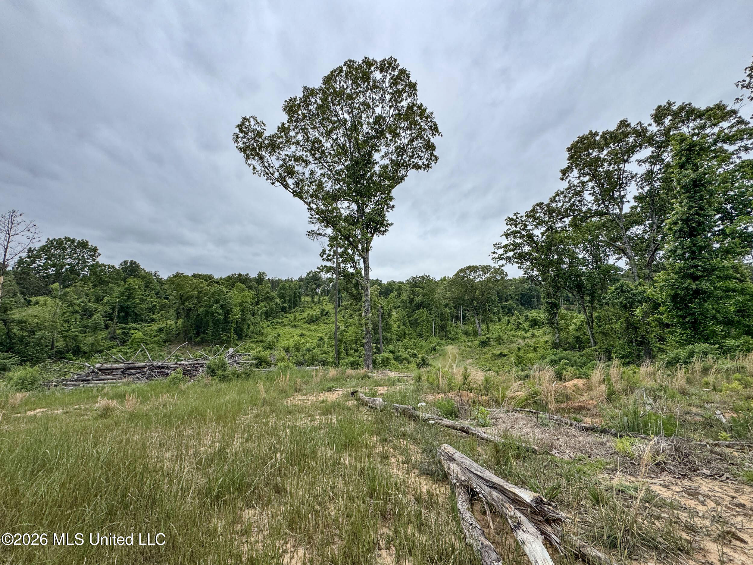 Wayne Massie Road Como, MS 38619 - Photo 132 of 184 5cdtbs73