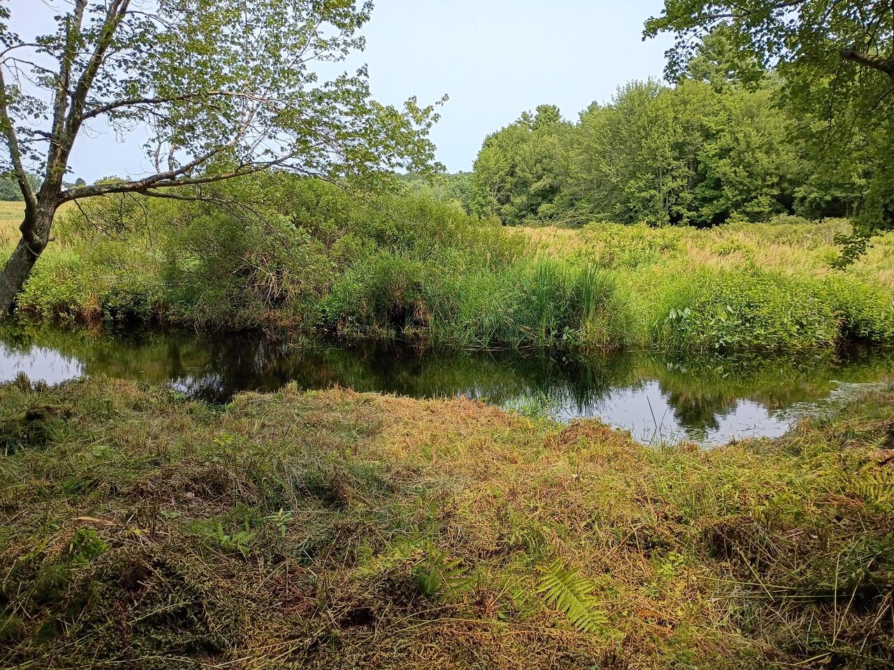 146 Lower Round Pond Road Bristol, ME 04539 - Photo 35 of 53 1000003567