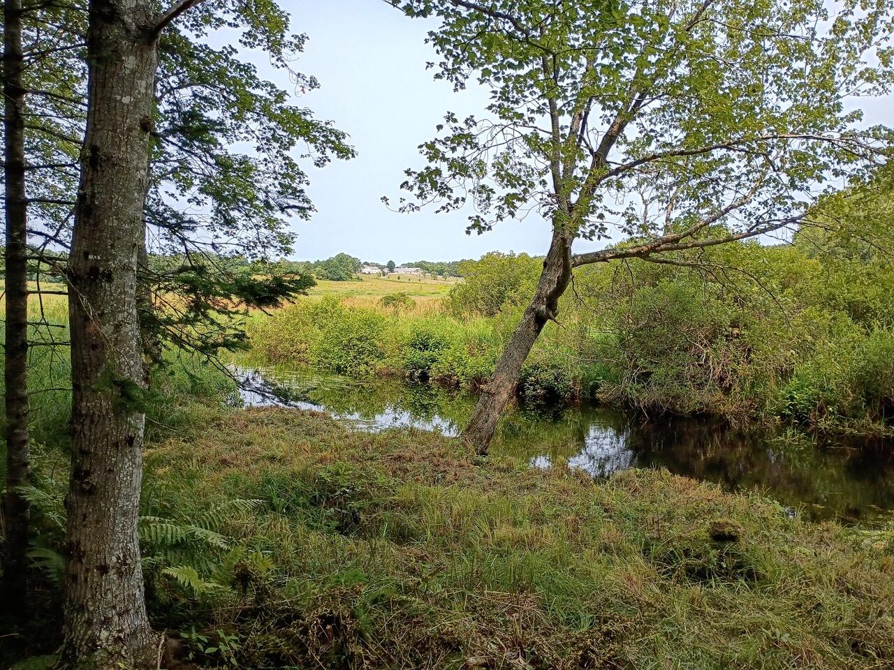 146 Lower Round Pond Road Bristol, ME 04539 - Photo 36 of 53 1000003566