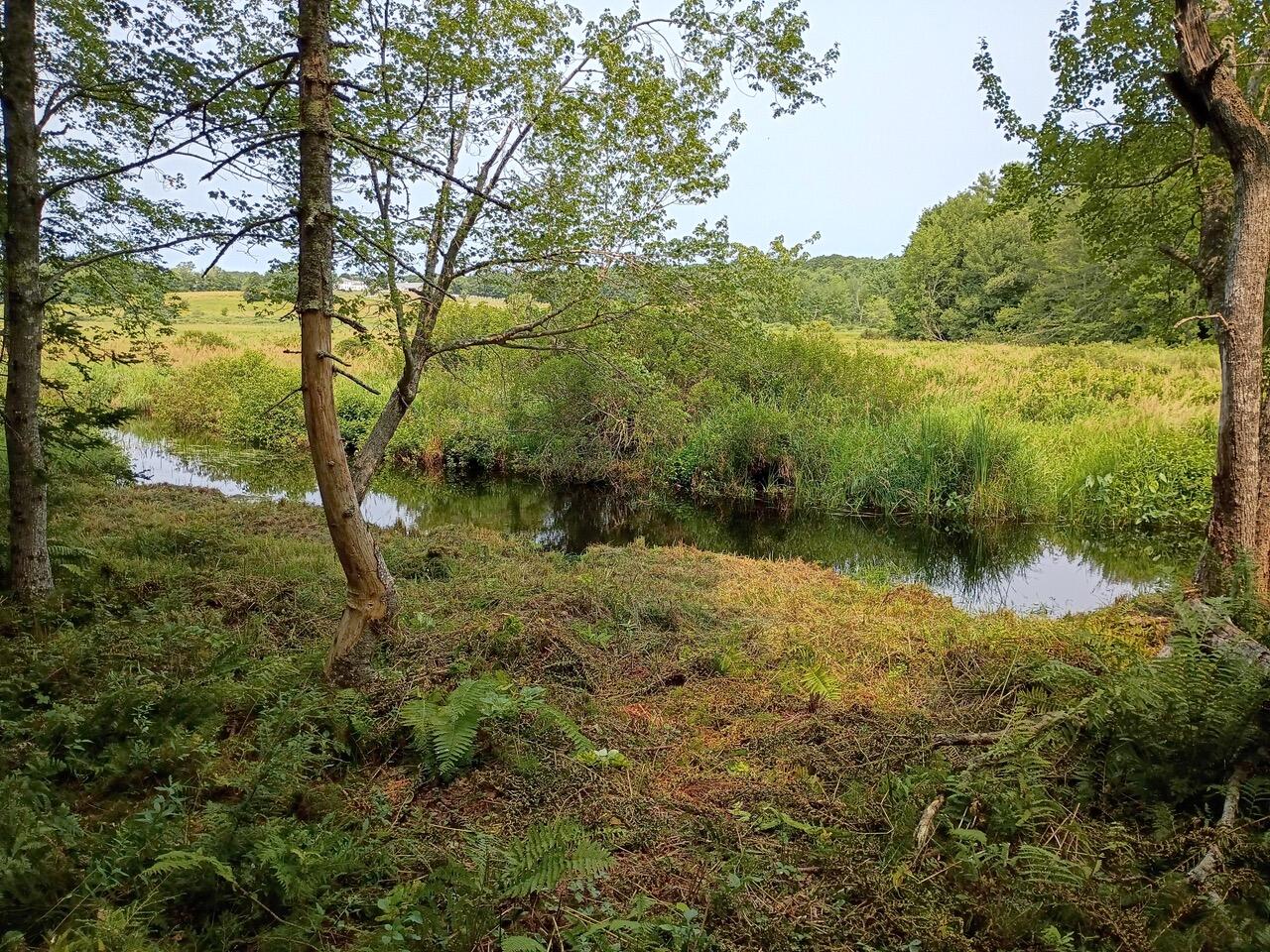 146 Lower Round Pond Road Bristol, ME 04539 - Photo 37 of 53 1000003568