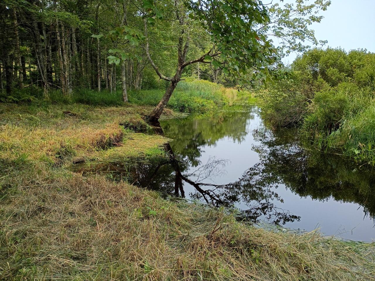 146 Lower Round Pond Road Bristol, ME 04539 - Photo 38 of 53 1000003551