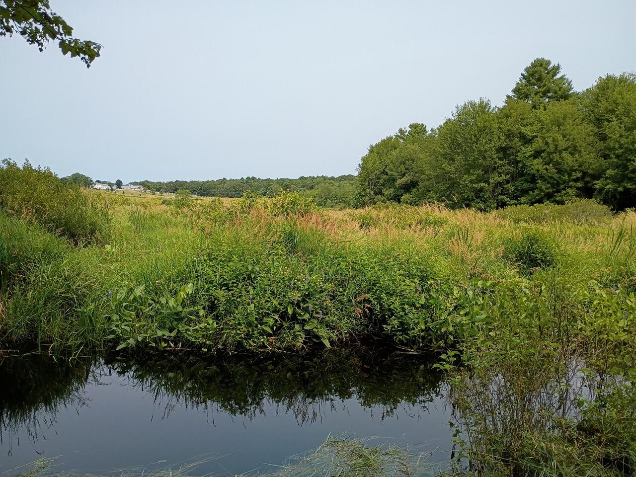 146 Lower Round Pond Road Bristol, ME 04539 - Photo 39 of 53 1000003553